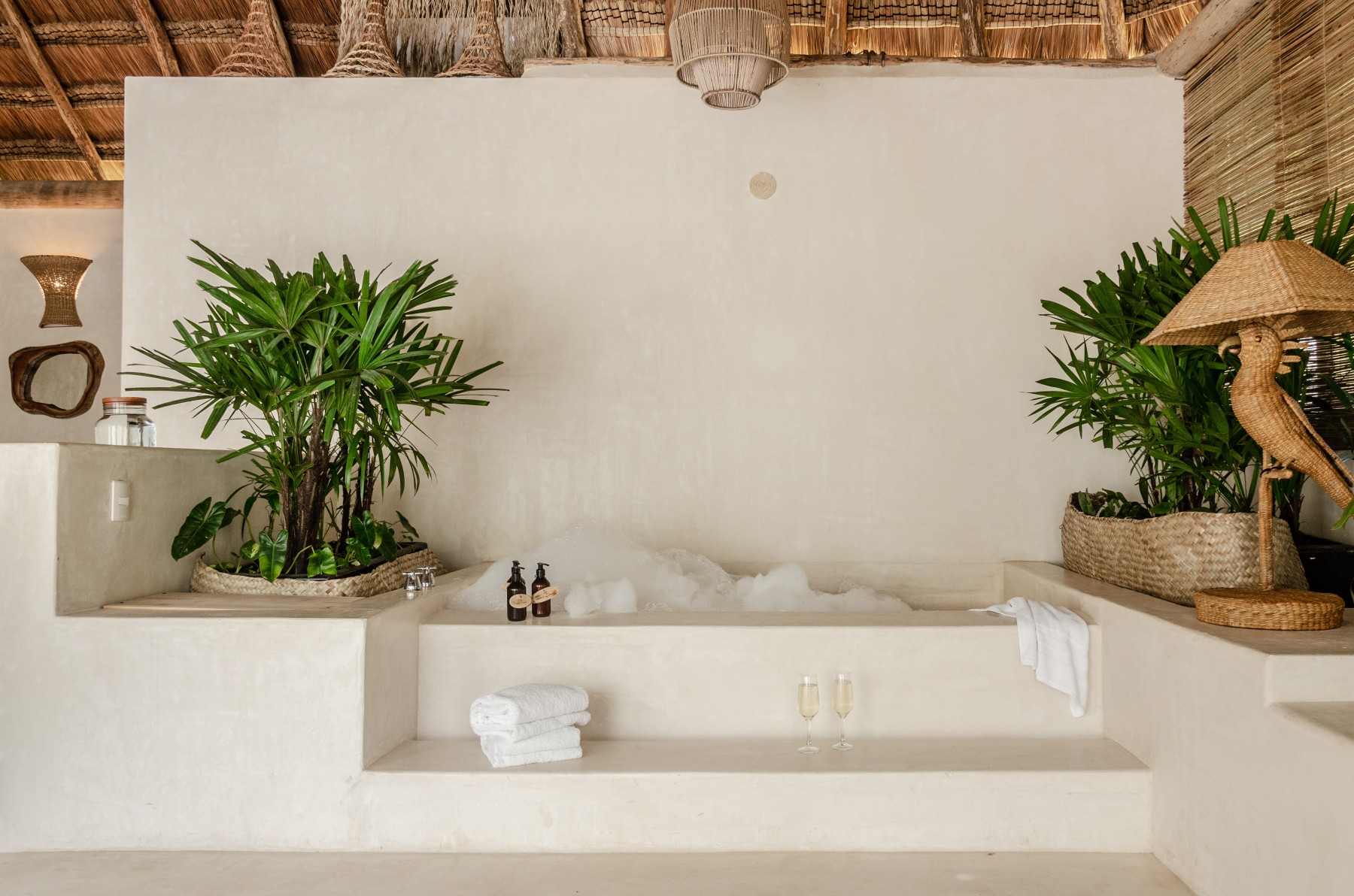 Jungle Suite Upper